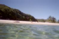 Une plage de rêve aux testigos