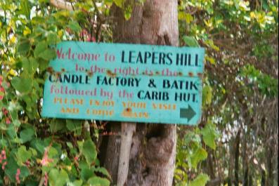 Rain Forest in Grenada