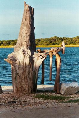 L'arbre magique