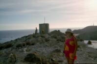 Guls en haut de la coline hebergant le vieux phare